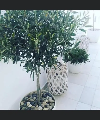 伊比酷斯精品酒店 3* Mykonos Town