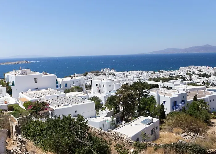 酒店 伊比酷斯精品酒店 3*