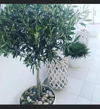 Ibiscus Boutique 3* Mykonos Town